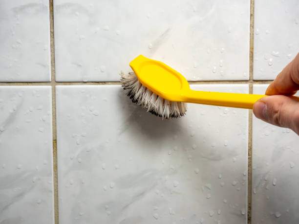 Best Home Mold Removal  in Clinton, UT