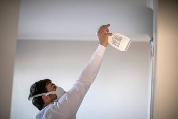 Best Mold Cleaning Services  in Clinton, UT