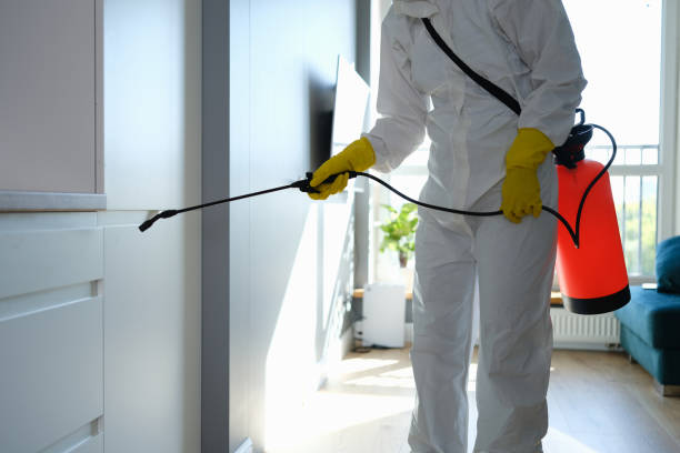 Water Damage Restoration in Clinton, UT